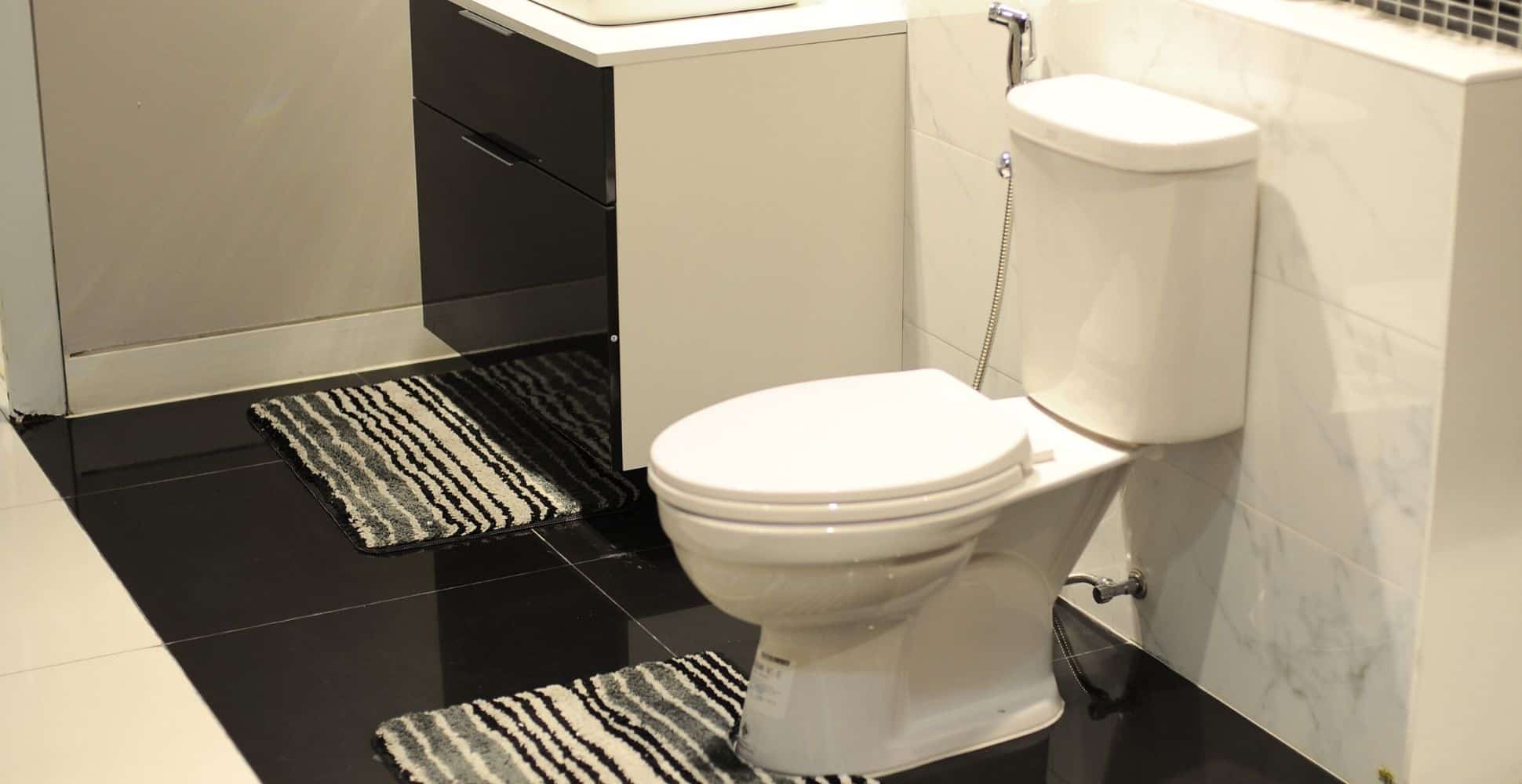 Who Invented The Toilet? Spruce Up!