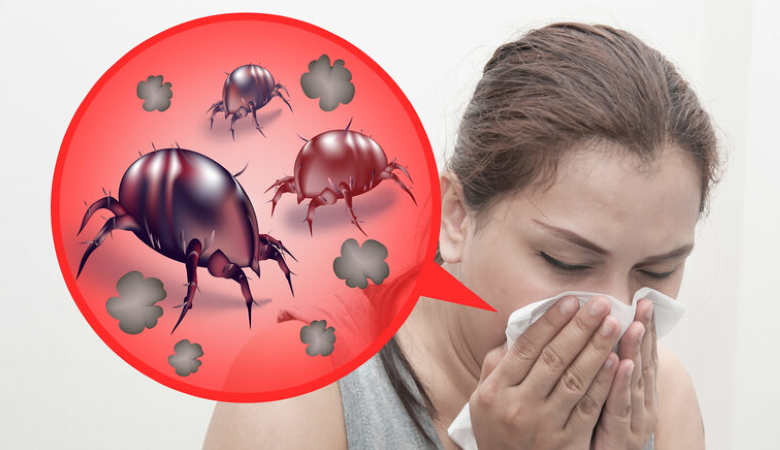 Dust Mite Allergies