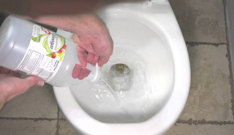 Pouring Vinegar in Toilet