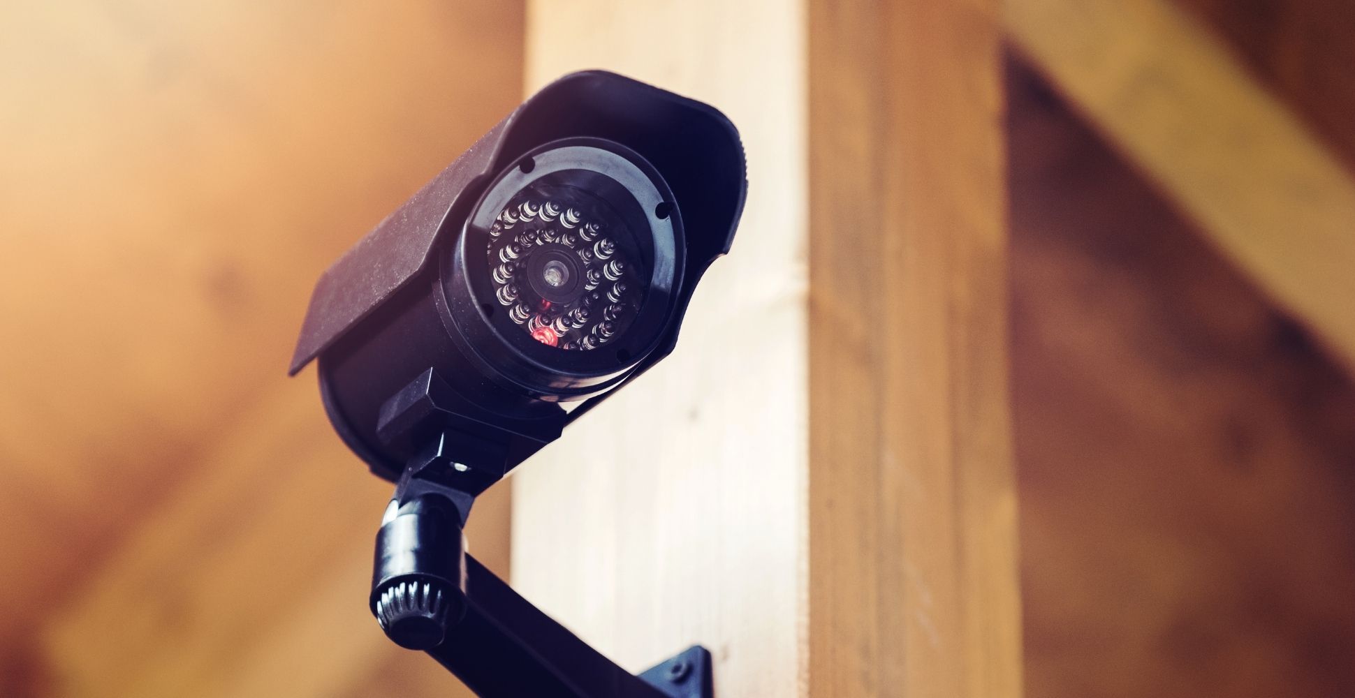 5 Best Motion Detection Cameras UK (2022 Review) Spruce Up!